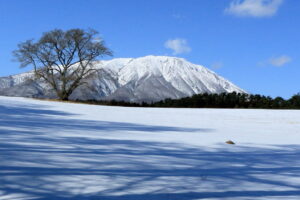 早春の岩手山